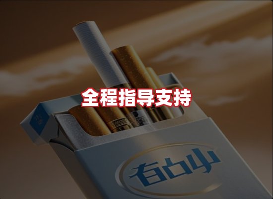 专业团队